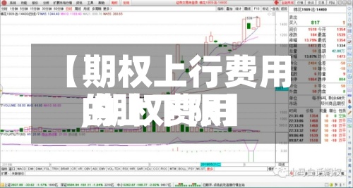【期权上行费用,期权费用的上下限】