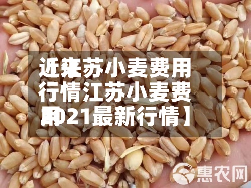 近来【江苏小麦费用行情江苏小麦费用2021最新行情】