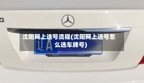 沈阳网上选号流程(沈阳网上选号怎么选车牌号)-第2张图片