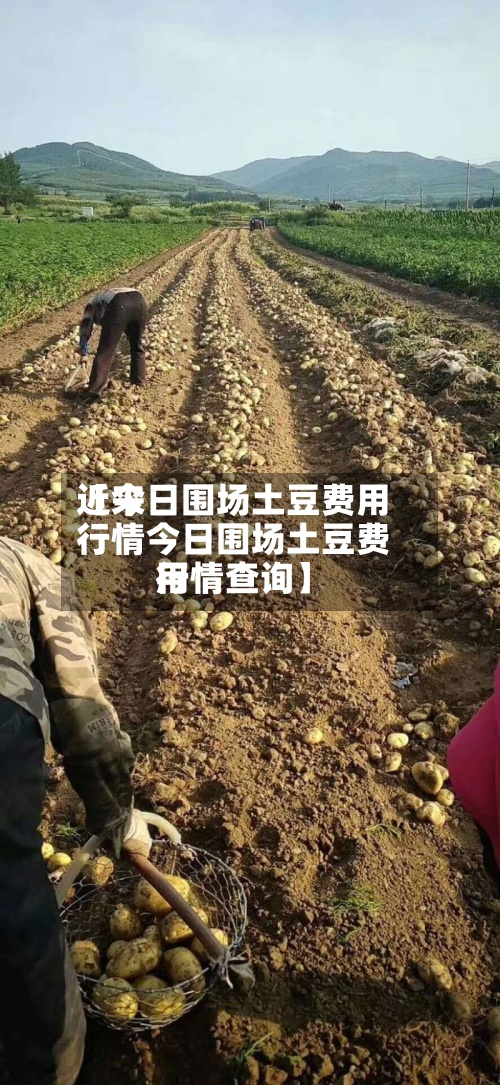 近来
【今日围场土豆费用
行情今日围场土豆费用
行情查询】