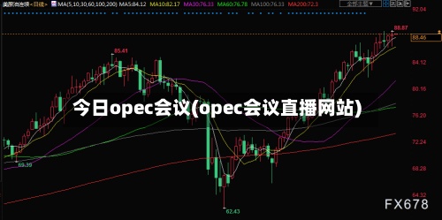 今日opec会议(opec会议直播网站)-第3张图片