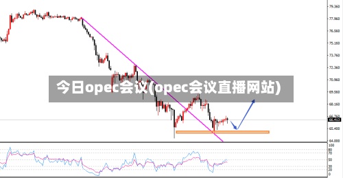 今日opec会议(opec会议直播网站)