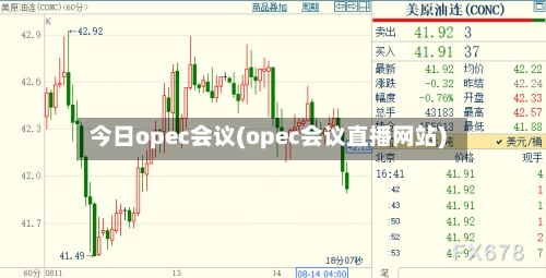 今日opec会议(opec会议直播网站)-第2张图片