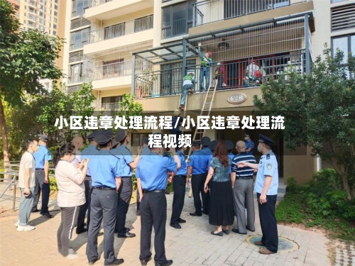 小区违章处理流程/小区违章处理流程视频