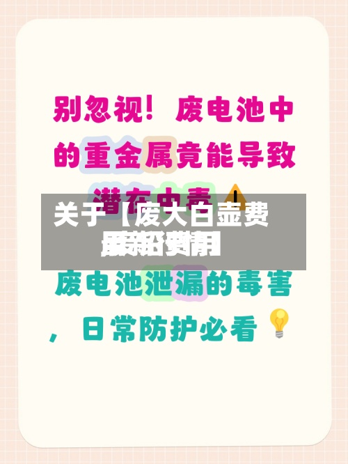 关于【废大白壶费用
,废铅费用
最新行情】-第2张图片