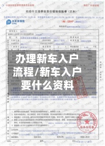 办理新车入户流程/新车入户要什么资料