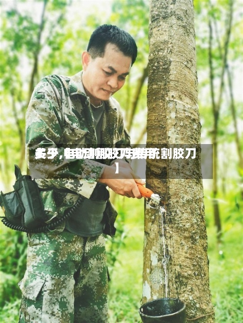 关于【电动割胶刀费用多少,电动割胶刀与传统割胶刀】