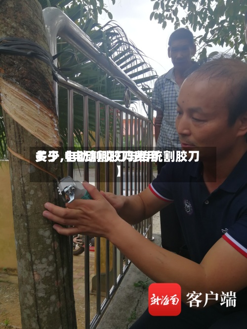 关于【电动割胶刀费用多少,电动割胶刀与传统割胶刀】-第2张图片