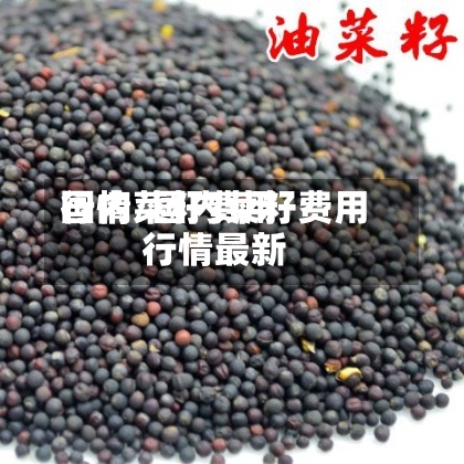 国内菜籽费用
行情/国内菜籽费用
行情最新-第3张图片