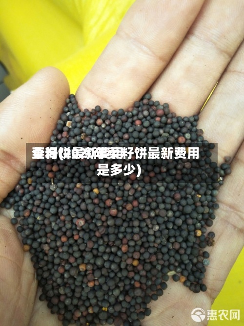 菜籽饼最新费用
查询(2020年菜籽饼最新费用
是多少)-第2张图片