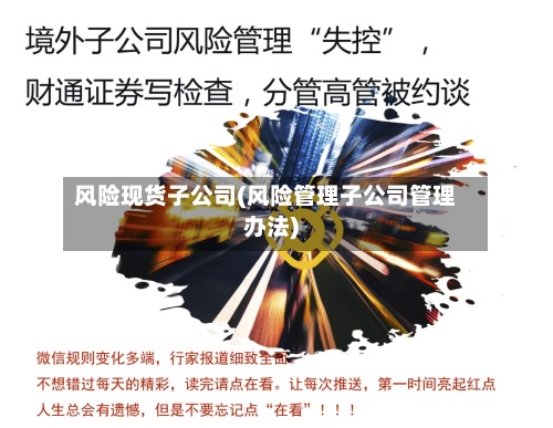 风险现货子公司(风险管理子公司管理办法)-第2张图片