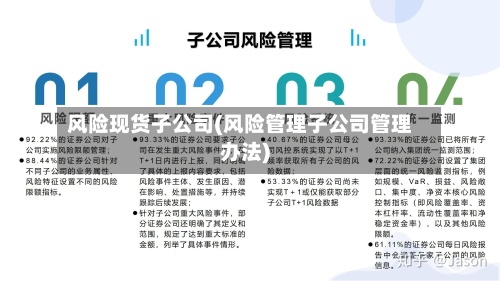 风险现货子公司(风险管理子公司管理办法)