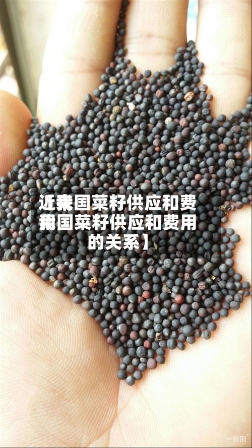 近来
【我国菜籽供应和费用
我国菜籽供应和费用
的关系】