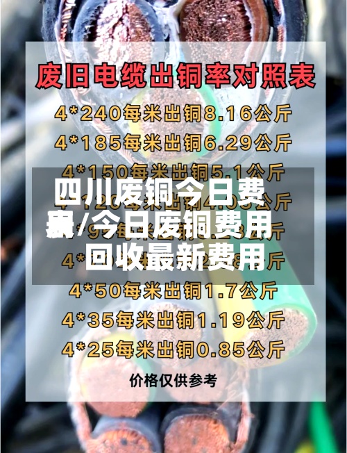 四川废铜今日费用
表/今日废铜费用
回收最新费用