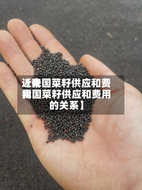 近来
【我国菜籽供应和费用
我国菜籽供应和费用
的关系】-第2张图片
