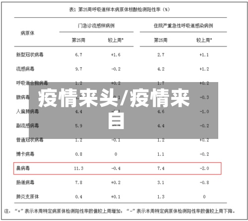 疫情来头/疫情来自-第3张图片