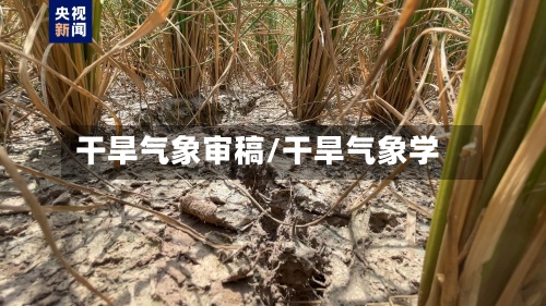 干旱气象审稿/干旱气象学-第2张图片