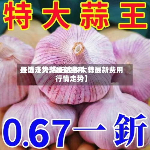 最近【大蒜最新费用行情走势,今日金乡大蒜最新费用行情走势】