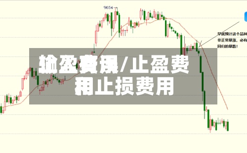 止盈费用输入有误/止盈费用和止损费用-第2张图片
