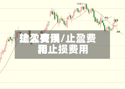 止盈费用输入有误/止盈费用和止损费用