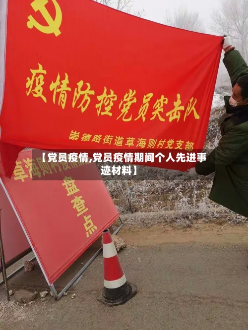 【党员疫情,党员疫情期间个人先进事迹材料】-第2张图片