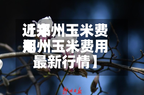 近来【郑州玉米费用郑州玉米费用最新行情】-第2张图片