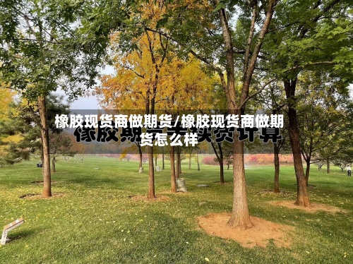 橡胶现货商做期货/橡胶现货商做期货怎么样