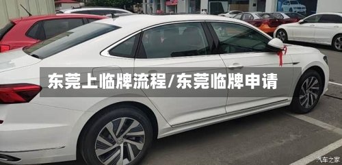 东莞上临牌流程/东莞临牌申请-第3张图片