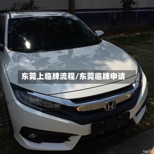 东莞上临牌流程/东莞临牌申请