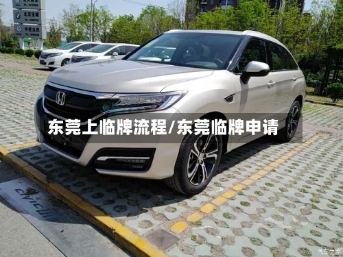 东莞上临牌流程/东莞临牌申请-第2张图片