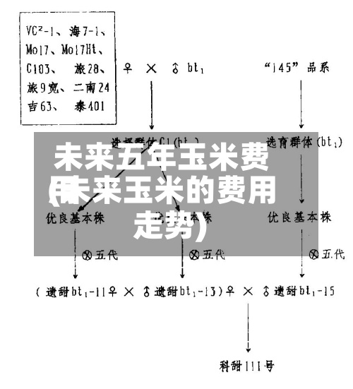 未来五年玉米费用
(未来玉米的费用
走势)