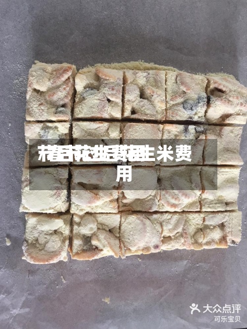 节后花生费用/春节过后花生米费用