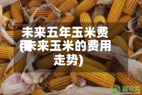 未来五年玉米费用
(未来玉米的费用
走势)-第2张图片