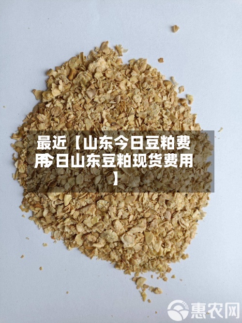 最近【山东今日豆粕费用
,今日山东豆粕现货费用
】-第3张图片
