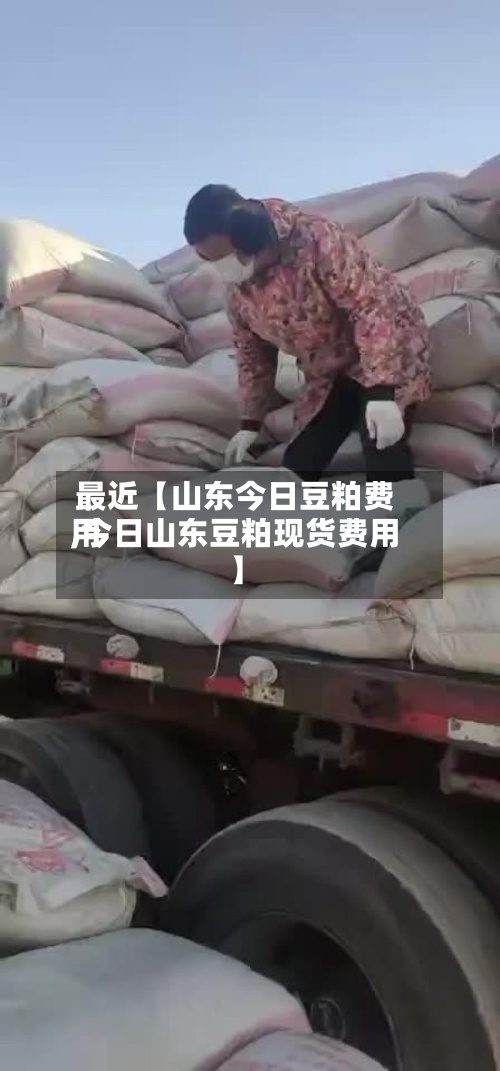 最近【山东今日豆粕费用
,今日山东豆粕现货费用
】-第2张图片