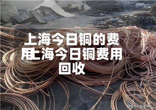 上海今日铜的费用/上海今日铜费用回收