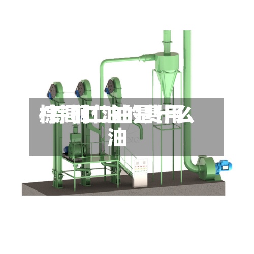 棕闾仁油的费用
/棕榈仁油是什么油-第2张图片