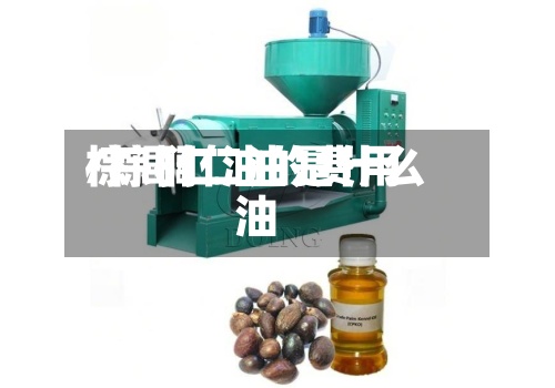 棕闾仁油的费用
/棕榈仁油是什么油