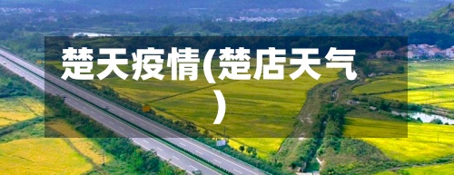 楚天疫情(楚店天气)