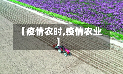 【疫情农时,疫情农业】