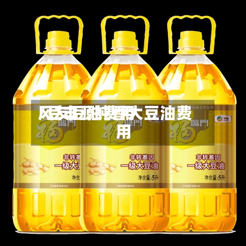 风友豆油费用/豆丰源纯香大豆油费用-第3张图片