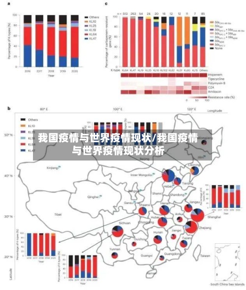 我国疫情与世界疫情现状/我国疫情与世界疫情现状分析