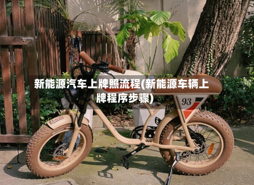 新能源汽车上牌照流程(新能源车辆上牌程序步骤)-第2张图片