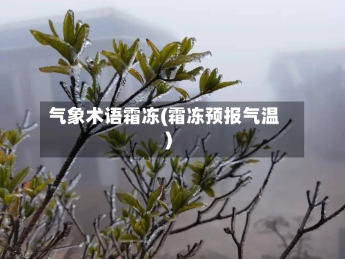 气象术语霜冻(霜冻预报气温)-第3张图片