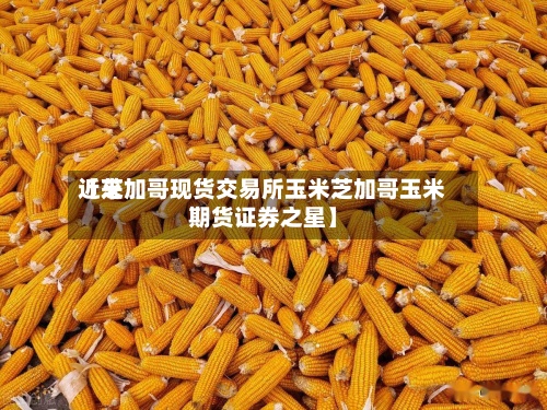 近来
【芝加哥现货交易所玉米芝加哥玉米期货证券之星】-第2张图片