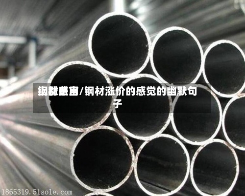 钢材费用
上涨感言/钢材涨价的感觉的幽默句子-第2张图片