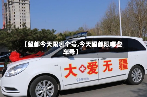 【望都今天限哪个号,今天望都限哪些车号】