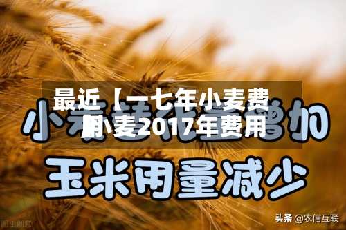 最近【一七年小麦费用
,小麦2017年费用
】