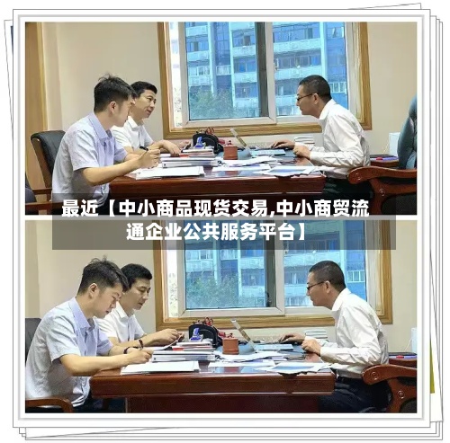 最近【中小商品现货交易,中小商贸流通企业公共服务平台】-第2张图片