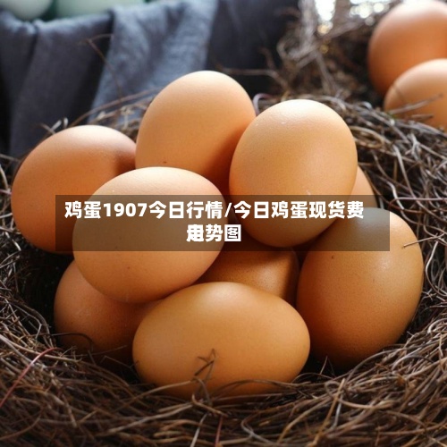 鸡蛋1907今日行情/今日鸡蛋现货费用
走势图